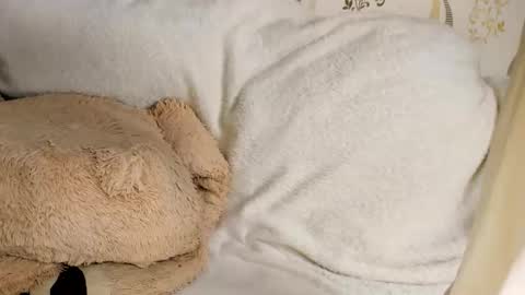 MelMooon online show from March 2026 08:59:01 PM