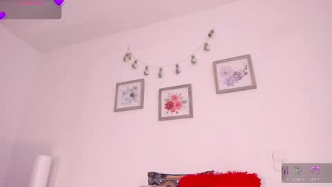    online show from May 2026 12:24:02 PM