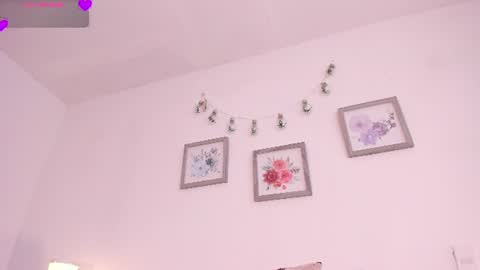    online show from July 2026 12:33:01 PM