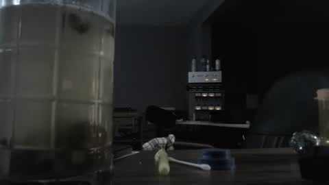 I am usually high and horny...lol online show from October 2025 12:44:02 AM