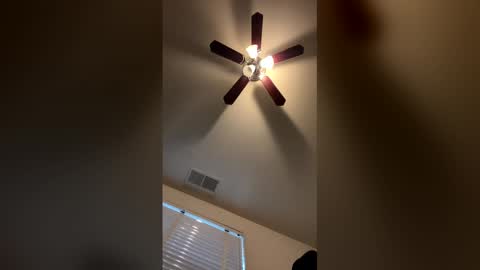 mentemala30 online show from February 2026 10:20:02 PM