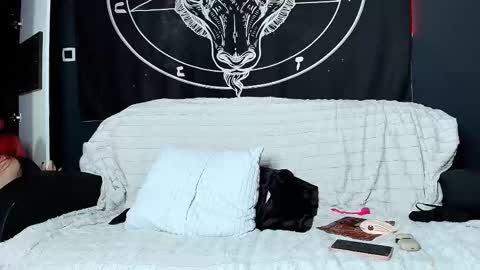 Snapshot of meowroslava chatting on November 2025 10:32:02 AM meowroslava online show from November 2025 10:32:02 AM