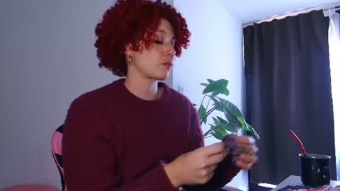 Snapshot of merida__freckles chatting on July 2026 04:15:02 PM Miss Freckles online show from July 2026 04:15:02 PM