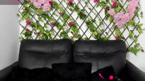 Snapshot of merlyna_goldens chatting on November 2025 12:42:01 AM My next birthday is December 11th. online show from November 2025 12:42:01 AM