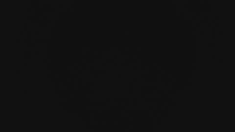 Snapshot of mewade chatting on February 2026 11:28:02 AM Wade online show from February 2026 11:28:02 AM