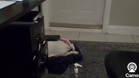 Mg13999 online show from January 2025 08:39:01 PM