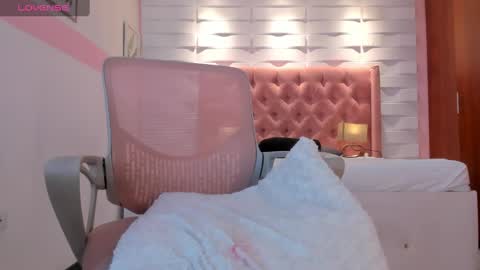 Snapshot of mhellissaw chatting on January 2025 07:38:01 AM melissa online show from January 2025 07:38:01 AM