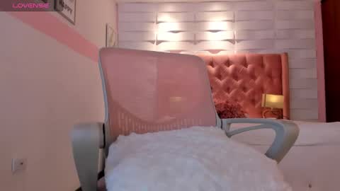 Snapshot of mhellissaw chatting on February 2025 07:01:02 AM melissa online show from February 2025 07:01:02 AM