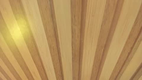 mia__blaze_ online show from November 2025 02:57:02 AM