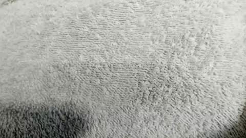 Mia online show from April 2026 02:14:01 AM