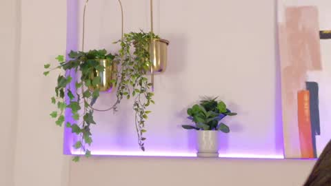 Snapshot of mia_oconner chatting on December 2024 02:14:02 PM mia_oconner online show from December 2024 02:14:02 PM