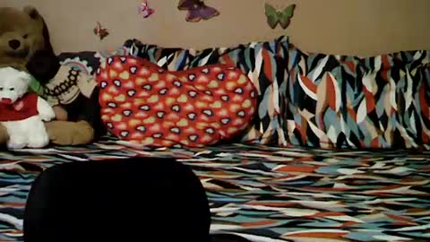 mia_rein online show from June 2026 06:29:02 AM