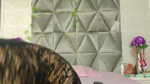 MIIA online show from May 2026 01:17:01 PM