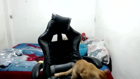mia online show from May 2026 04:17:01 AM