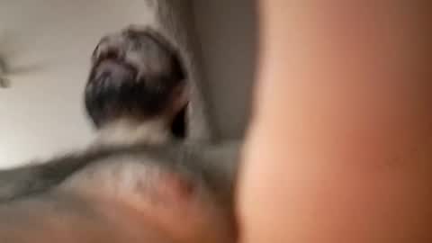 michael666c online show from February 2025 09:00:02 AM