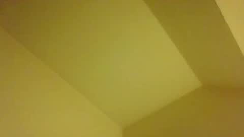 Snapshot of michaelselmer chatting on February 2026 02:12:02 AM Michael. online show from February 2026 02:12:02 AM