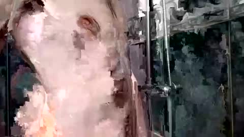 mickavis1975 online show from January 2025 05:55:01 PM