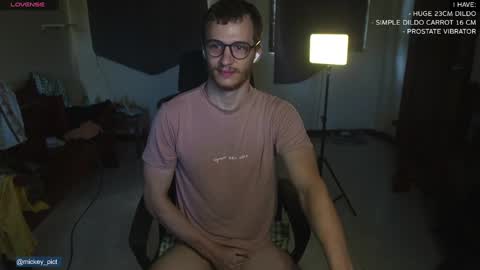 Snapshot of mickey_pict chatting on December 2024 01:50:02 AM Mickey online show from December 2024 01:50:02 AM