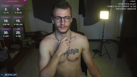 Snapshot of mickey_pict chatting on December 2024 05:02:01 AM Mickey online show from December 2024 05:02:01 AM