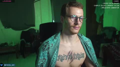 Snapshot of mickey_pict chatting on December 2024 08:05:02 AM Mickey online show from December 2024 08:05:02 AM