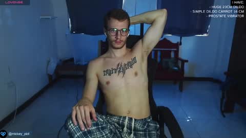 Snapshot of mickey_pict chatting on December 2024 04:15:02 AM Mickey online show from December 2024 04:15:02 AM
