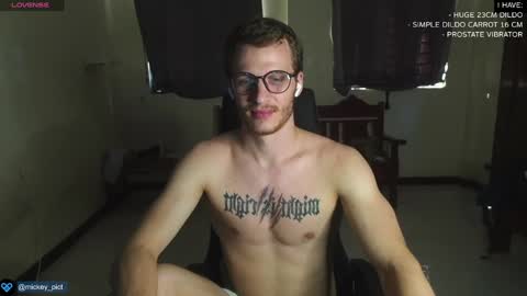 Snapshot of mickey_pict chatting on December 2024 06:03:02 AM Mickey online show from December 2024 06:03:02 AM