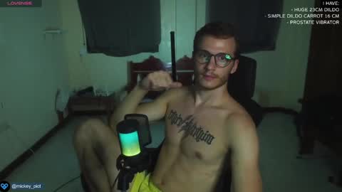 Snapshot of mickey_pict chatting on December 2024 01:25:01 PM Mickey online show from December 2024 01:25:01 PM