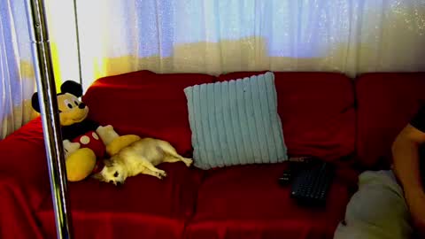 Snapshot of mickeyshyne69 chatting on February 2025 12:43:01 AM Mickey online show from February 2025 12:43:01 AM