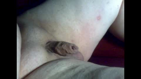 micropimmel online show from May 2026 08:26:01 PM