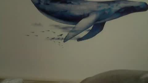 Snapshot of midhir chatting on February 2025 02:43:02 PM kike online show from February 2025 02:43:02 PM