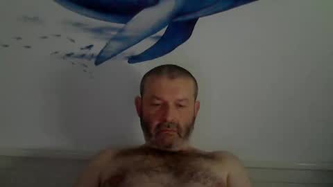 Snapshot of midhir chatting on March 2025 08:56:01 PM kike online show from March 2025 08:56:01 PM