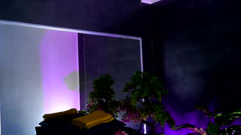 Alice online show from February 2025 08:38:01 AM