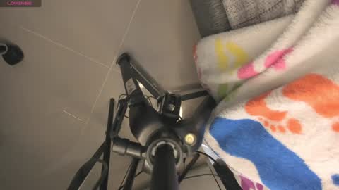 midori__san online show from December 2024 02:42:02 PM