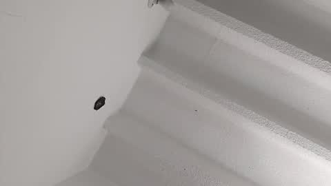 Snapshot of mikecamm chatting on January 2025 04:22:02 PM Miki online show from January 2025 04:22:02 PM