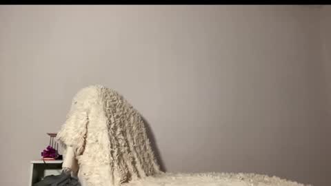 Charlotte online show from March 2026 03:07:02 AM