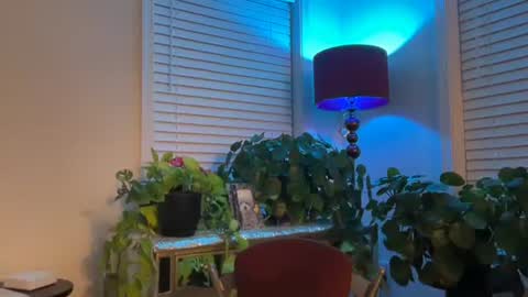 Snapshot of milf_goddess chatting on December 2025 08:09:02 AM MIlf Goddess online show from December 2025 08:09:02 AM