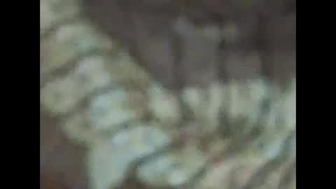 milfpussyeatdeep online show from December 2024 09:06:02 PM