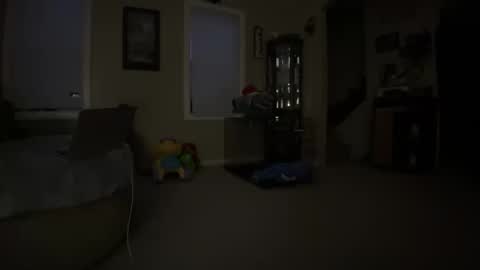 SlimnHungOH online show from January 2025 12:31:01 PM