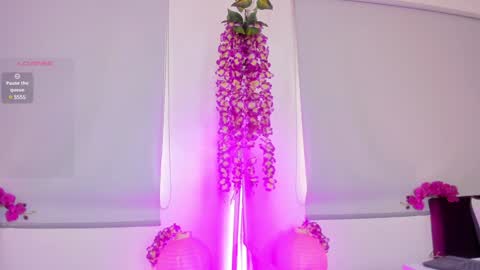  Milu Belucci  online show from January 2025 03:08:02 PM