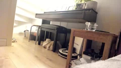 Snapshot of milu_curly chatting on March 2025 03:40:01 AM Milu online show from March 2025 03:40:01 AM