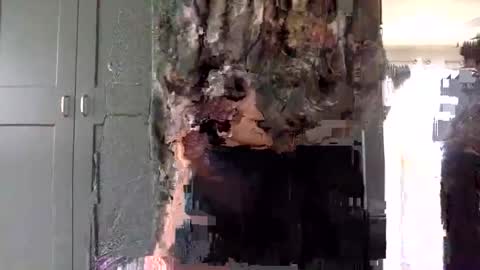 Snapshot of mince_alors chatting on November 2025 05:34:01 PM mince_alors online show from November 2025 05:34:01 PM