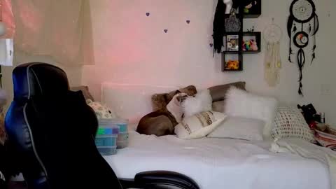 Snapshot of mindymars chatting on January 2026 03:38:01 PM Mindy Mars online show from January 2026 03:38:01 PM