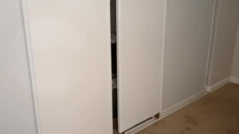 minniehunney online show from February 2026 11:14:01 AM