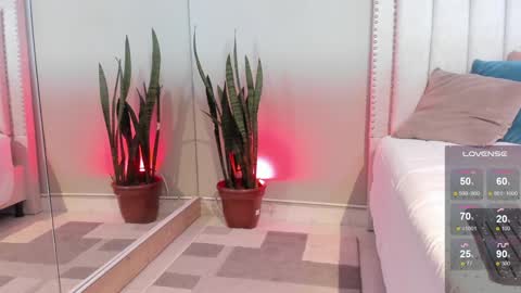    online show from January 2025 03:15:02 PM