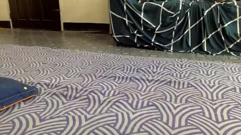 mireill_sex online show from June 2026 03:05:01 PM