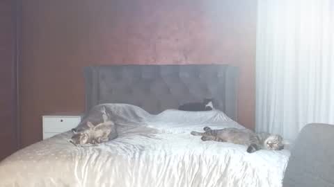 Snapshot of mishakiss34 chatting on January 2026 07:11:01 PM Misha online show from January 2026 07:11:01 PM