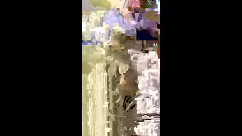 Snapshot of misnicol chatting on January 2026 07:50:02 PM Nicol online show from January 2026 07:50:02 PM