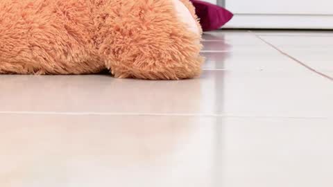 Snapshot of miss_alexxxa_ chatting on February 2026 08:16:01 PM Alexa online show from February 2026 08:16:01 PM