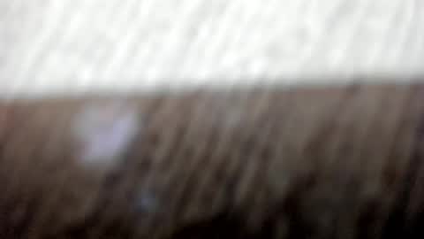 Cataleya online show from December 2025 11:48:01 AM