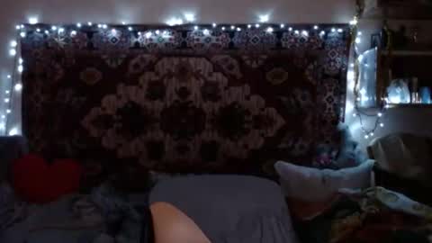 Elis online show from December 2024 03:14:01 PM